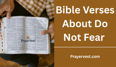 Bible Verses About Do Not Fear