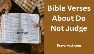 Bible Verses About Do Not Judge