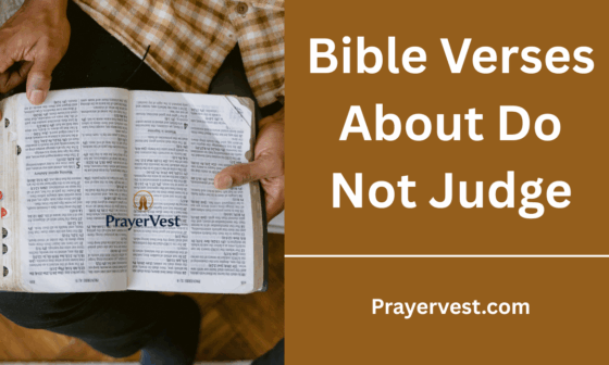 Bible Verses About Do Not Judge