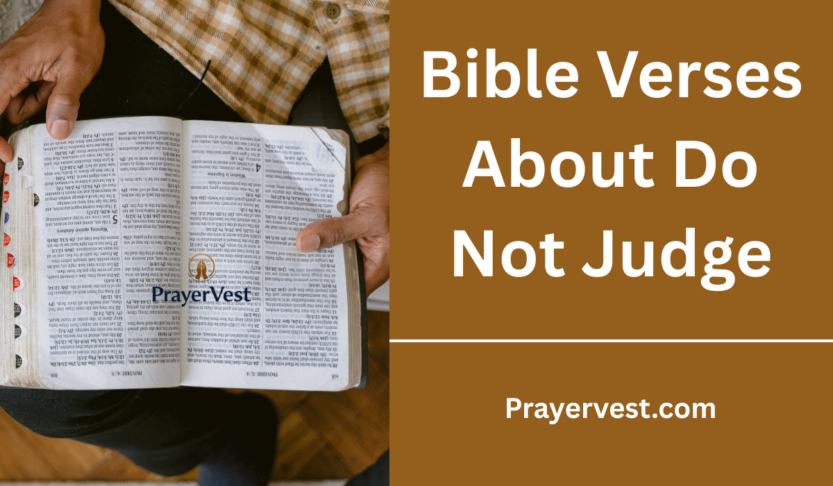 Bible Verses About Do Not Judge
