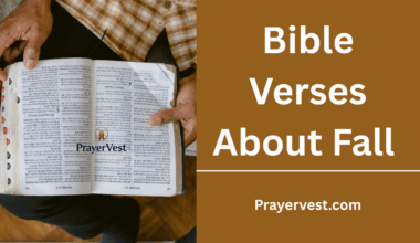 Bible Verses About Fall