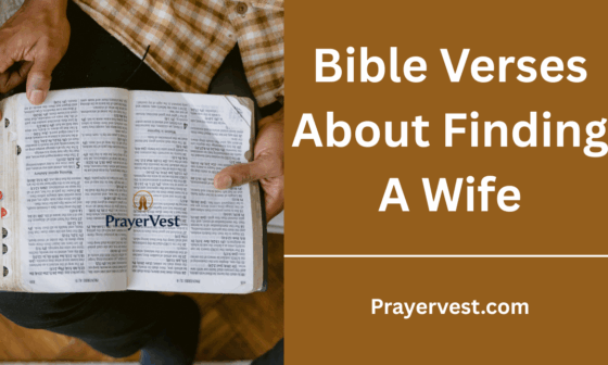 Bible Verses About Finding A Wife