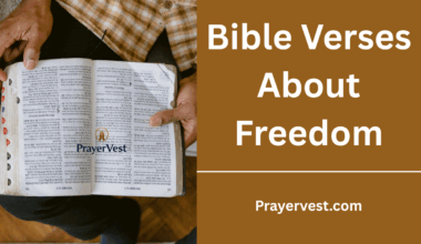 Bible Verses About Freedom