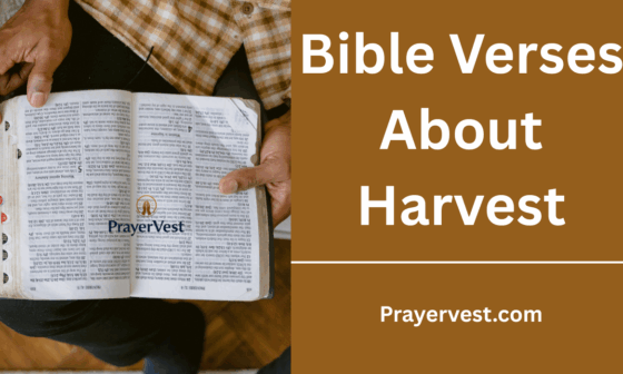 Bible Verses About Harvest