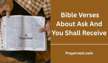 Bible Verses About Ask And You Shall Receive