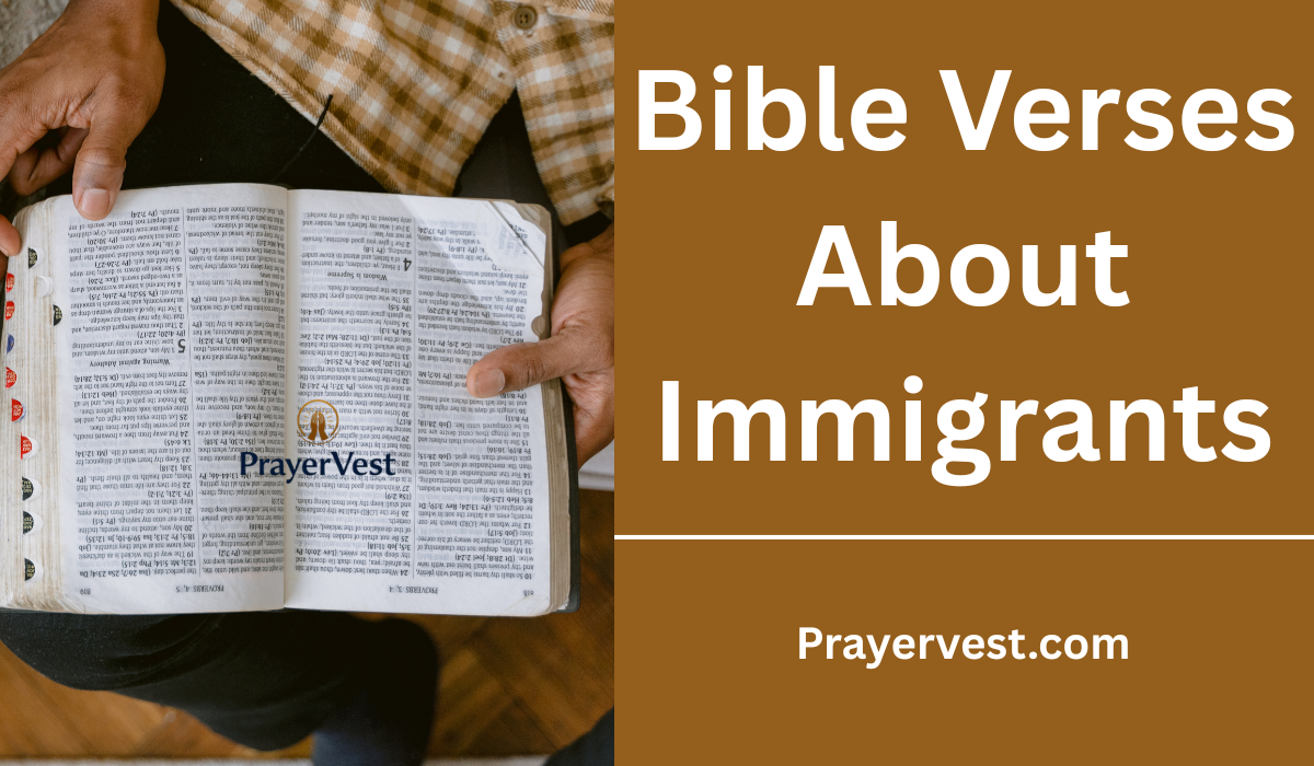 Bible Verses About Immigrants