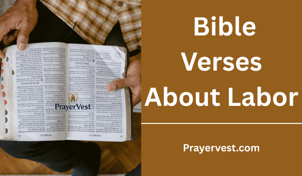 Bible Verses About Labor