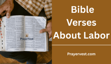 Bible Verses About Labor