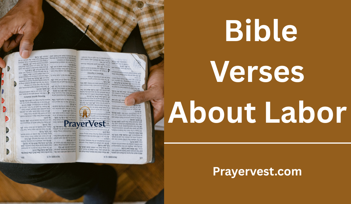  Bible Verses About Labor