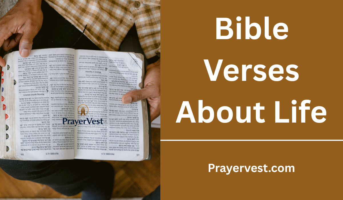 Bible Verses About Life
