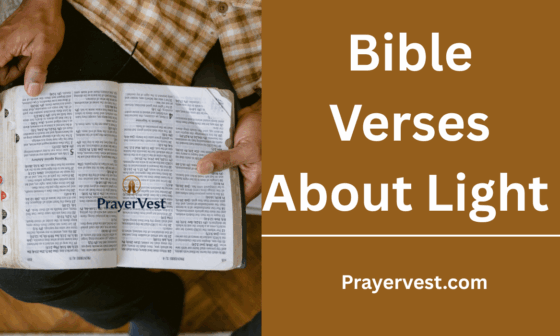 Bible Verses About Light