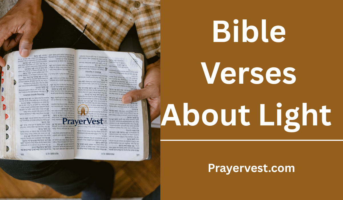 Bible Verses About Light 
