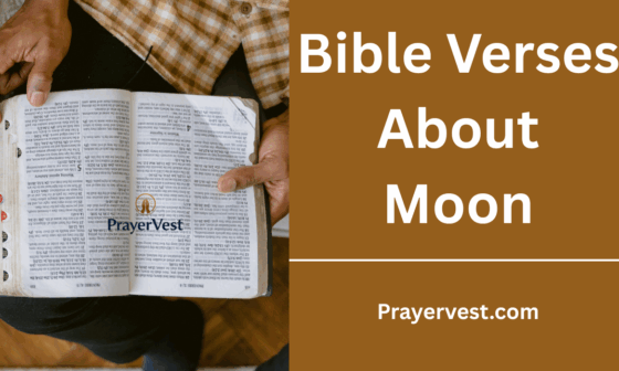 Bible Verses About Moon