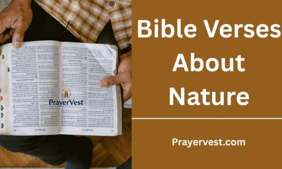 Bible Verses About Nature