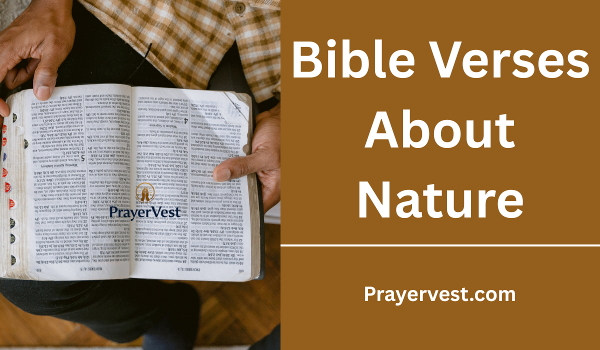 Bible Verses About Nature