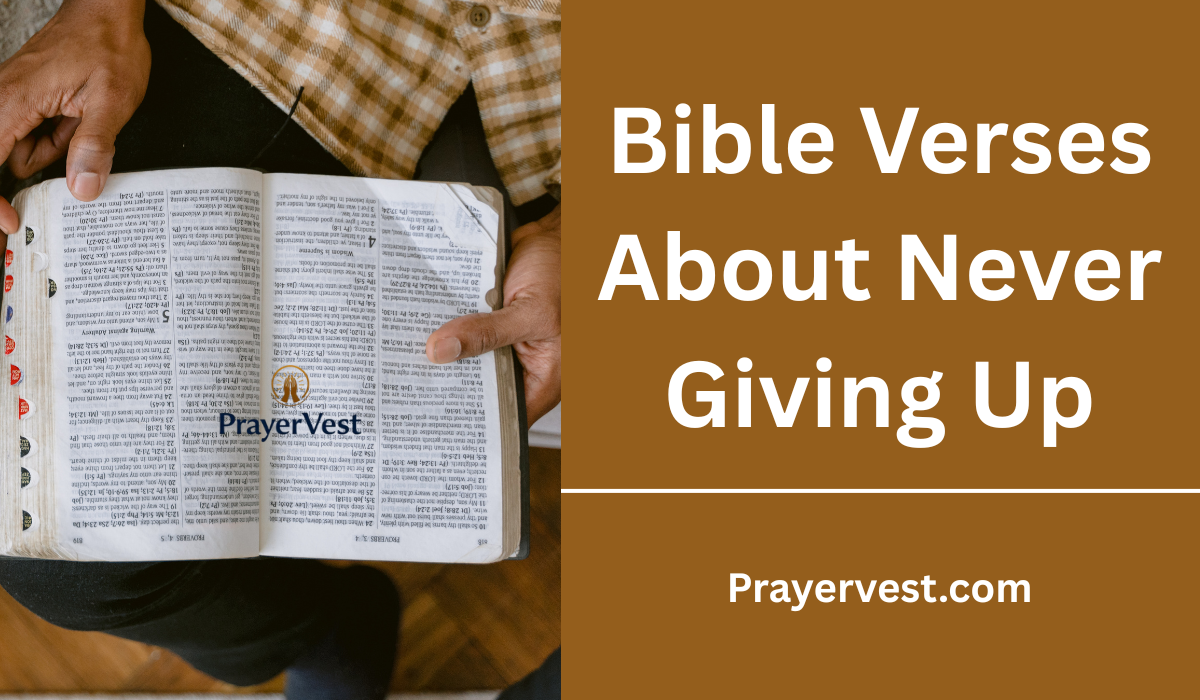 Bible Verses About Never Giving Up