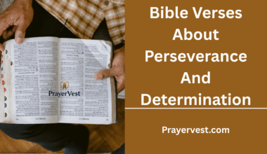 Bible Verses About Perseverance And Determination