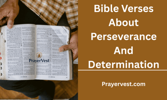 Bible Verses About Perseverance And Determination