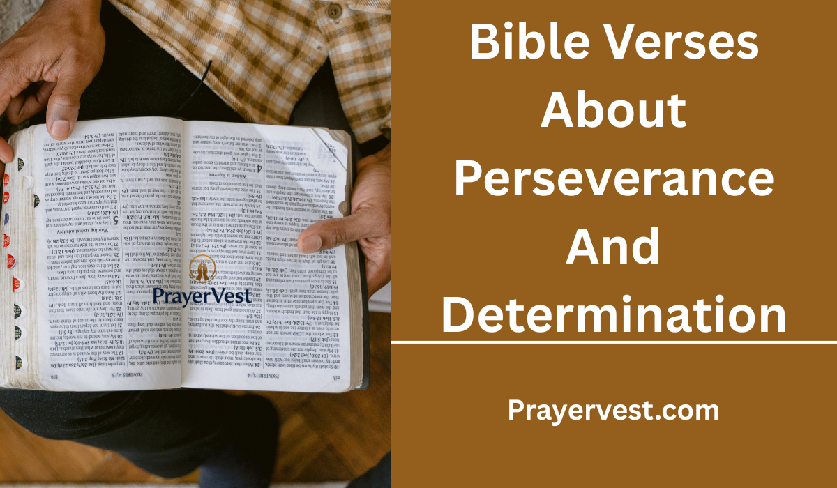 Bible Verses About Perseverance And Determination