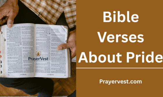 Bible Verses About Pride