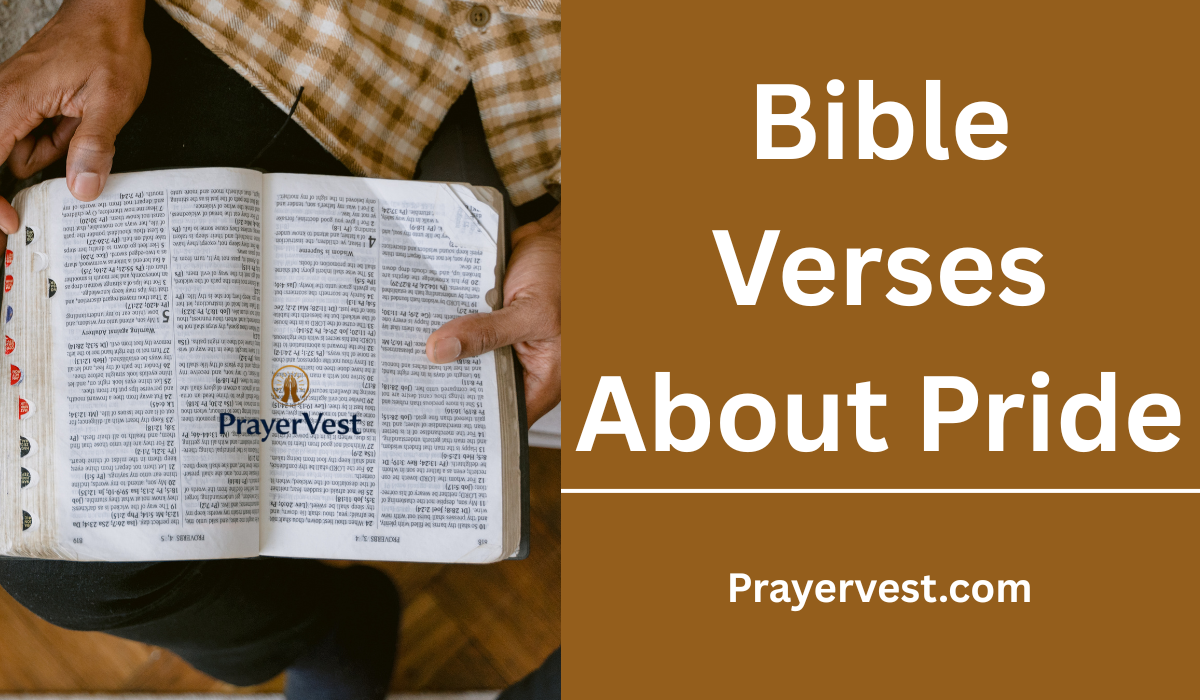Bible Verses About Pride