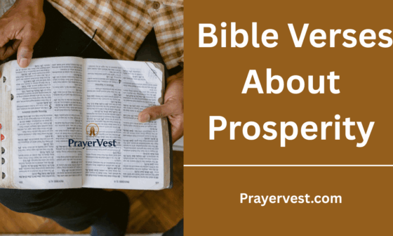 Bible Verses About Prosperity