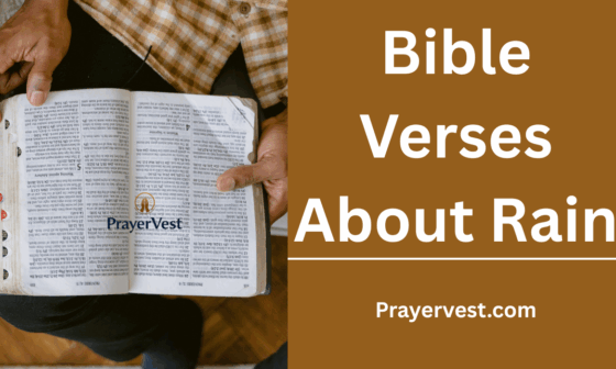Bible Verses About Rain