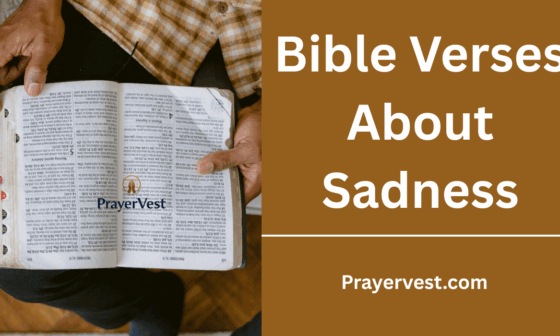 Bible Verses About Sadness