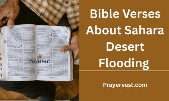 Bible Verses About Sahara Desert Flooding
