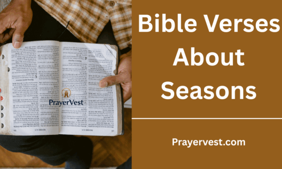Bible Verses About Seasons
