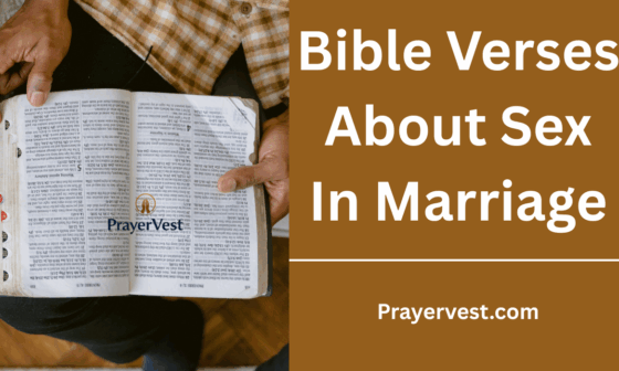 Bible Verses About Sex In Marriage