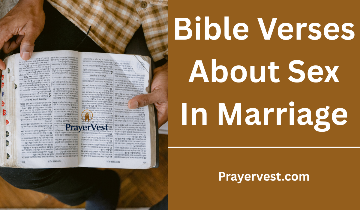 Bible Verses About Sex In Marriage