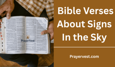 Bible Verses About Signs In the Sky
