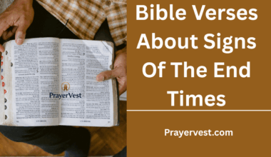 Bible Verses About Signs Of The End Times