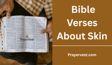 Bible Verses About Skin