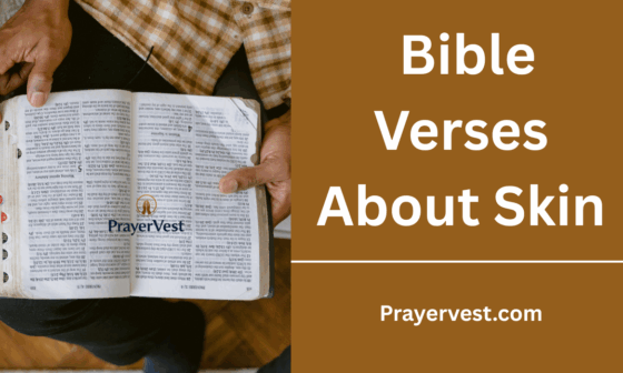 Bible Verses About Skin