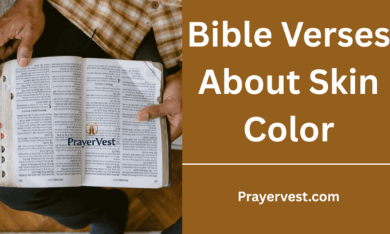 Bible Verses About Skin Color