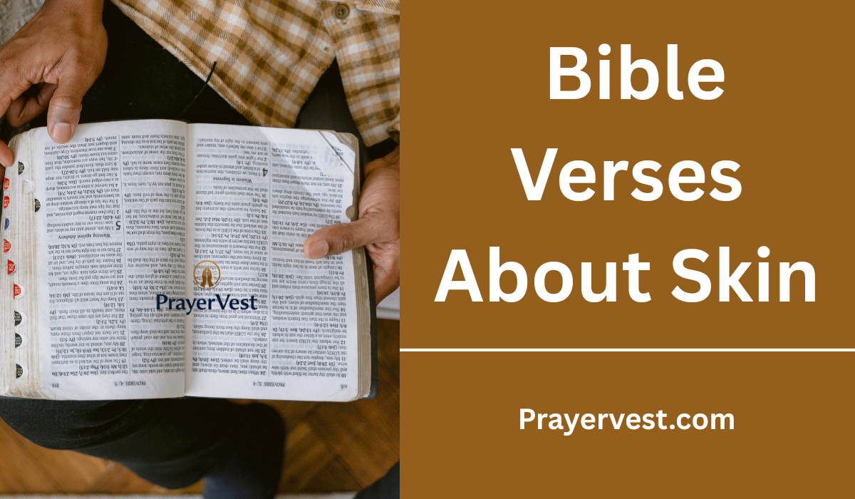  Bible Verses About Skin