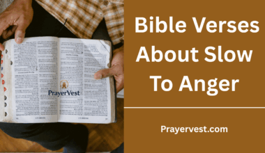 Bible Verses About Slow To Anger