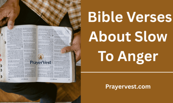 Bible Verses About Slow To Anger