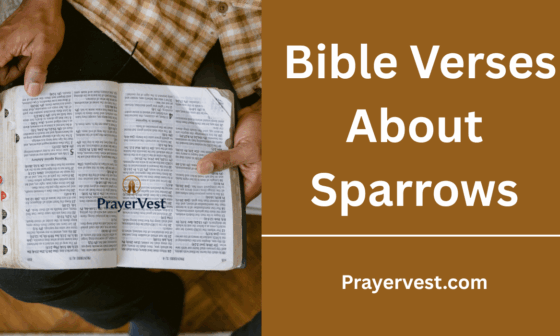 Bible Verses About Sparrows