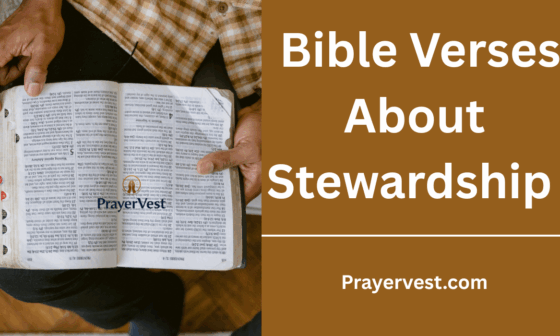 Bible Verses About Stewardship