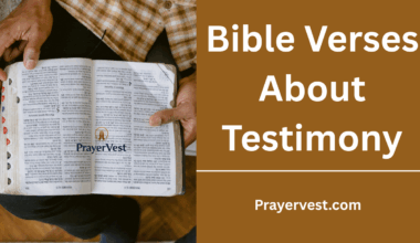 Bible Verses About Testimony