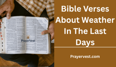Bible Verses About Weather In The Last Days