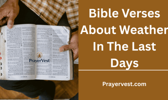 Bible Verses About Weather In The Last Days