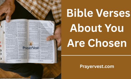 Bible Verses About You Are Chosen