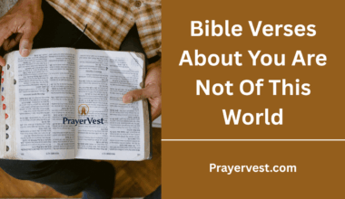 Bible Verses About You Are Not Of This World