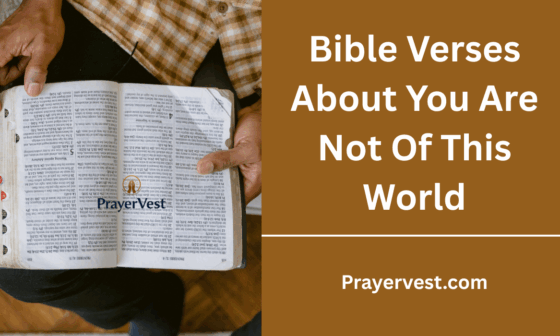 Bible Verses About You Are Not Of This World