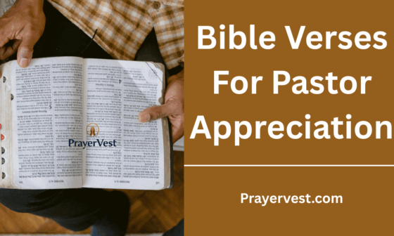 Bible Verses For Pastor Appreciation