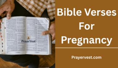 Bible Verses For Pregnancy
